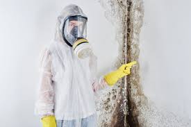 Best Comprehensive Air Testing for Mold Contaminants  in Hudson, CO